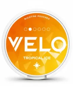 Tropical Ice Velo Nicotine Pouches 10mg